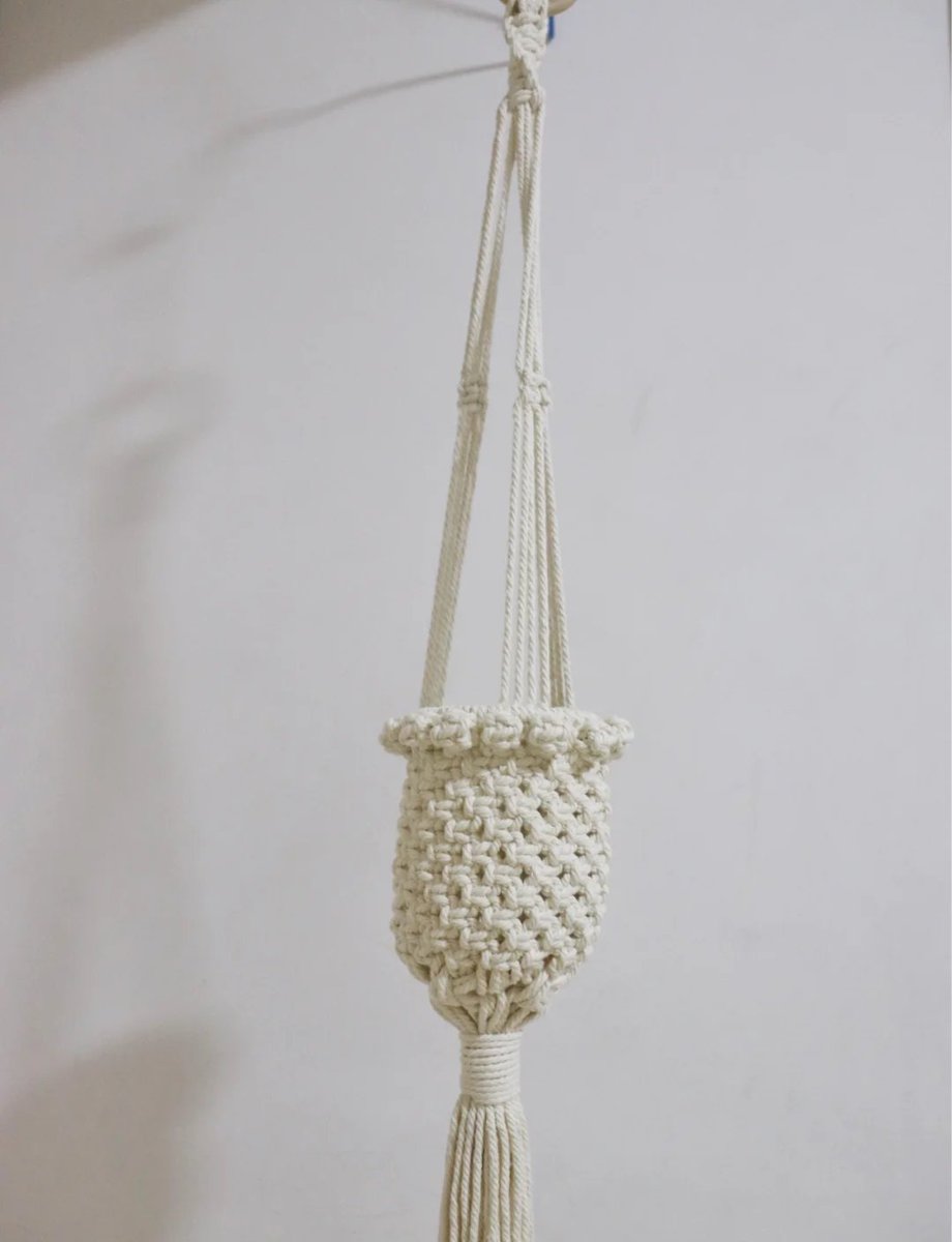 CristobalSdlpyh's tweet photo. Made a tiny macramé plant hanger this morning  Perfect for my new pothos baby! Check out the delicate knot details I practiced on. #HandmadeCrafts #Macramé， https://t.co/lsOLdETcWU