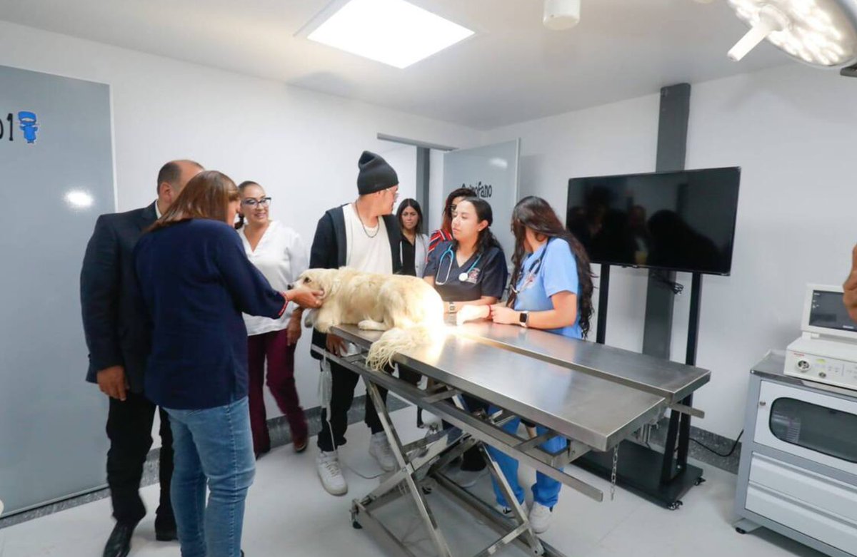 DONDEIRweb's tweet photo. ¡La #CDMX INAUGURÓ un Hospital Veterinario PÚBLICO con atención las 24 HORAS! 🐶🐱🏥 Este espacio ofrece ATENCIÓN GRATUITA y de BAJO costo para mascotas, conoce DÓNDE está y qué servicios tiene:

https://t.co/x9VzurkSF2 https://t.co/zi0c8h1SQf