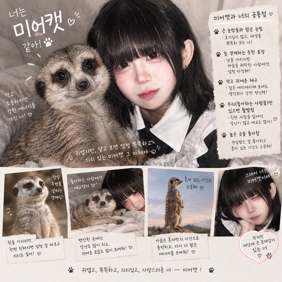 sesennxx's tweet photo. 믱 https://t.co/XJ3BcOWJFX