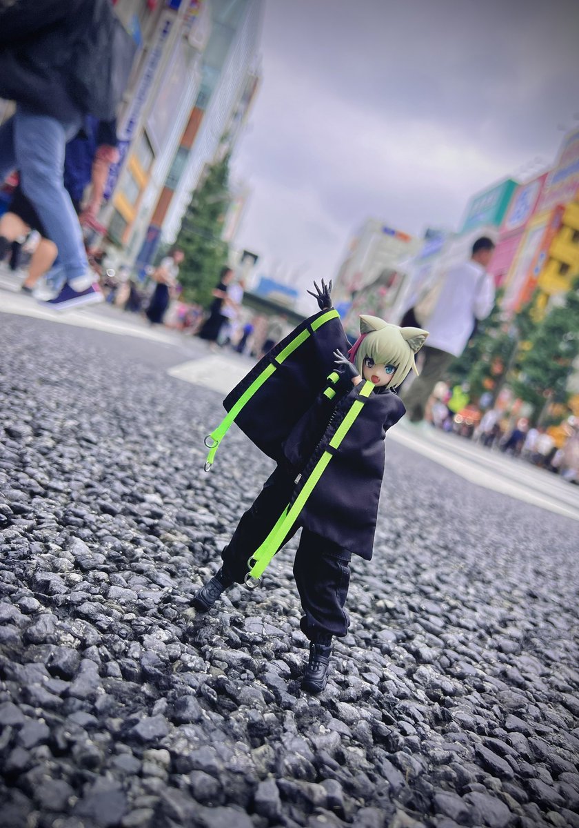 Mod_wasabi's tweet photo. 秋葉原の歩行者天国で撮った わさち〜 https://t.co/LVepmhKiaU