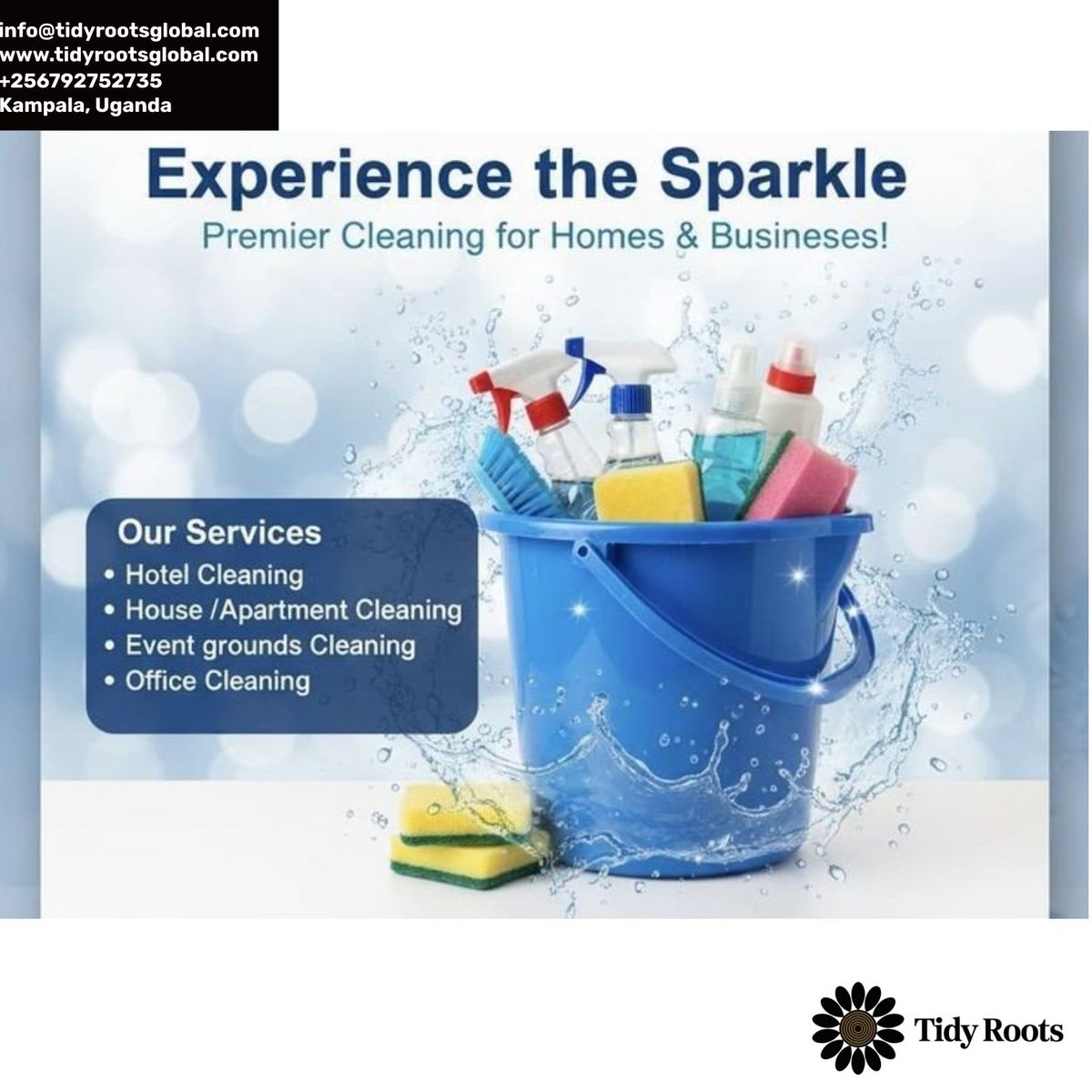 TidyRoots's tweet photo. #ToiletCleaning #ShowerAndTileCleaning https://t.co/ly9dZD3jLN