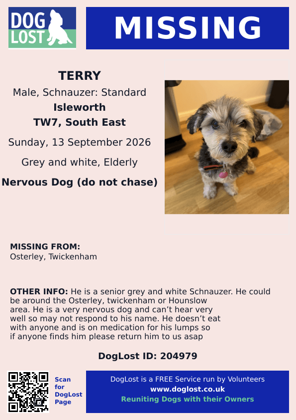 millypod1's tweet photo. 🆘13 SEPT 2026 #Lost Terry #ScanMe
ELDERLY Schnauzer: Standard Male
Nervous Dog (do not chase). NEEDS MEDS 😢
#Osterley #Twickenham or #Hounslow area #TW7
County #Isleworth #GreaterLondon #London
https://t.co/5H5WVUcP22 https://t.co/4JyXEp4cjK