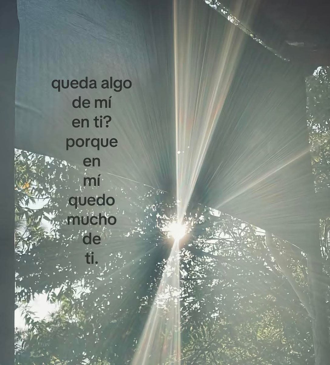 ojoscol0rsol's tweet photo. https://t.co/gUlqxaaoqZ