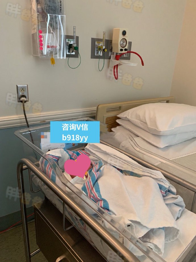 vnyjames's tweet photo. 【甘肃夫夫伴侣喜获帅气混血男宝宝】

李先生来自甘肃，有伴侣。去年联系我们安排美国捐卵模特和自己的精子做试管。再安排代母怀孕。

代母Amy住在田纳西州，11号顺利生下6磅健康男宝宝。宝宝拥有中美双国籍，回国正常上户口。

代孕流程 合法代孕 美国代孕 欧洲代孕 柬埔寨代孕 哥伦比亚代孕 上海代孕 https://t.co/1c0S1T90uB