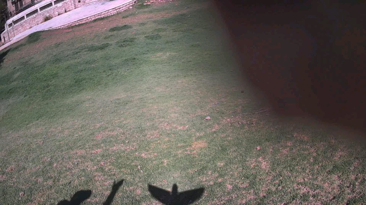 popshark1's tweet photo. #Birds_Are_Not_real
Robots are real
The robots are coming 
Out of stealth mode https://t.co/HNFQQKIPPO