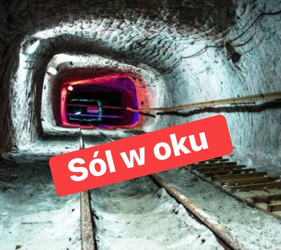 Darekbrzoza's tweet photo. Sprawa kopalni soli w Kłodawie łączy się z tematem kopalni Solino.
Ciekawe komentarze można poczytać:
….
Info od Pracownika kopalni:
To co się teraz dzieje wokół kopalni Solino w Inowrocławiu, to jest po prostu jakiś koszmar o którym większość ludzi nie ma bladego pojęcia.
Przecież te kopalnie to nie są zwykłe dziury w ziemi, z których sypie się sól na stół.
Pod ziemią w Inowrocławiu i Górze koło Janikowa znajdują się Podziemne Magazyny Ropy i Paliw. To są gigantyczne jaskinie, kilkaset metrów pod naszymi stopami. Sól ma to do siebie, że nie przepuszcza żadnych płynów ani gazów, więc państwo polskie trzyma tam strategiczne rezerwy ropy, benzyny i diesla dla całego kraju. Gdyby doszło do wojny, kryzysu geopolitycznego lub odcięcia dostaw z zagranicy, to właśnie stamtąd rurociągami tłoczona jest ropa do rafinerii w Płocku i Gdańsku.
I teraz zobaczcie, kto tu nagle wchodzi z butami. Niemiecki koncern K+S, ... tak! dokładnie ten sam, który za chwilę ma budować w Janikowie spalarnię odpadów niebezpiecznych. Górnicy i związki zawodowe z Solino ryczą już z bezsilności i protestują pod bramami bo wielki biznes za naszymi plecami kombinuje, jak oddać kontrolę nad tą solą i rurociągami w ręce niemieckiego kapitału. Oczywiście nikt w Orlenie nie jest głupi i nie podpisze papieru, że sprzedają magazyny ropy Niemcom, bo za to idzie się siedzieć. Gra toczy się sprytniej, czyli przez restrukturyzację i dzielenie firmy. Solino robi dwie rzeczy, pilnuje ropy i wydobywa solankę. A plan jest taki, żeby tę część solną i rurociągi odciąć od Orlenu i wpuścić tam jako zarządcę koncern K+S.
I tu dochodzimy do sedna sprawy, którego wielu mieszkańców nie rozumie, a górnicy doskonale znają. Te magazyny ropy nie mogą działać bez solanki i rurociągów. Aby wypompować ropę spod ziemi trzeba wpompować tam pod ogromnym ciśnieniem nasyconą solankę, która wypchnie paliwo do góry. I teraz najważniejsze.
Jeśli infrastruktura solna i rurociągowa Solino zostanie uzależniona od prywatnego, zagranicznego kapitału, to państwo polskie będzie miało ropę pod ziemią, ale technologia do jej wypompowania będzie należała do obcego prywatnego kapitału. I tutaj powstaje bardzo ważne pytanie, czy Polska zachowa wtedy pełną niezależność operacyjną nad strategicznymi zapasami ropy w sytuacji kryzysowej.
Wygląda na to, że jeden wielki układ chce kontrolować naszą sól, rurociągi i strategiczne magazyny paliw pod Inowrocławiem, a w Janikowie chcą nam przejąć ogrzewanie domów i palić pod oknami przemysłową chemię i toksyczne odpady. Prawda jest taka, że nasze miasto zostało wessane w międzynarodową grę o miliardy, gdzie zdrowie mieszkańców Janikowa i bezpieczeństwo Polski są na samym szarym końcu.
I na koniec jeszcze ciekawostka. Po spaleniu chemii w Janikowie zostaną tony toksycznych pyłów z filtrów. Gdzieś trzeba je podziać. A wiecie, z czego słynie w Europie niemiecki koncern K+S? Z zarabiania miliardów na chowaniu najbardziej niebezpiecznych odpadów przemysłowych pod ziemię, w starych kopalniach soli. Jeśli położą łapę na Solino i naszej infrastrukturze solnej, będą mieli idealny, zamknięty biznes.”
Inny internauta odpowiada tak :
Coś jest na rzeczy:
…. Nie do końca to jest.
Rozłóżmy to na części, bo sprawa jest realna i poważna.
Co jest prawdą:
Pod Inowrocławiem i Górą są strategiczne magazyny ropy. To fakt. Spółka IKS Solino(należy do Orlenu) od 1998 r. oprócz solanki zajmuje się magazynowaniem ropy i paliw w kawernach po wydobyciu solanki. To jedyny w Polsce Podziemny Magazyn Ropy i Paliw o pojemności 6 mln m³, są tam państwowe rezerwy strategiczne.
Technologia działa na solance. Dokładnie tak jak w tekście , żeby wypchnąć paliwo na powierzchnię, wtłacza się solankę na dno komory. Bez obiegu solanki magazyny nie działają.
Protest w Solino jest prawdziwy. Związkowcy z Solidarności prowadzą od 15 marca rotacyjny protest głodowy. Sami piszą: "IKS Solino jest nie tylko producentem soli i solanki, ale również ważnym elementem systemu bezpieczeństwa energetycznego Polski". Domagają się programu rządowego dla kompleksu solnego.
K+S NIE kupuje Solino ani magazynów ropy. To najważniejsze przekłamanie.‼️ Niemiecki koncern K+S kupuje biznes solny od prywatnej polskiej firmy Qemetica czyli warzelnie w Janikowie (Polska) i Staßfurt (Niemcy) za 350-380 mln euro. Transakcja ma się zamknąć w Q1 2027.
Solino pozostaje w Grupie Orlen, a magazyn Góra w ogóle nie jest przedmiotem tej transakcji, jak punktują nawet komentatorzy: Niemcy nie przejmują ani Solino, ani strategicznych magazynów ropy.
K+S nie buduje spalarni w Janikowie. Spalarnię / instalację do odzysku energii z odpadów o wartości 1,5 mld zł i mocy 310 tys. ton rocznie buduje Qemetica Soda Polska wspólnie z firmą PreZero.
Paliwem mają być odpady nienadające się do recyklingu. To element transformacji, bo koszty energii to 70% kosztów produkcji sody. K+S nie ma z tym nic wspólnego.
Historia o chowaniu toksycznych pyłów pod ziemią w Solino. K+S faktycznie zarabia na składowaniu odpadów w kopalniach soli w Niemczech, ale nie ma żadnych dokumentów, że planuje to w Inowrocławiu. To czysta spekulacja z tekstu.
O co więc chodzi naprawdę i skąd strach górników?
Problem jest realny, ale subtelniejszy. Solino i Qemetica żyją w symbiozie od 100 lat: Solino daje solankę do produkcji sody i soli warzonej w Janikowie. Qemetica po przetworzeniu zwraca sól.
Teraz Qemetica sprzedaje swój biznes solny Niemcom. A umowa solankowa podpisana za prezesury Obajtka w 2022 r. zobowiązała Solino do dostaw solanki przez 13 lat, a zabezpieczenie dostaw soli tylko na 3 lata. Ten krótszy okres właśnie minął.
Związkowcy z Solidarności alarmują więc, że "elementy systemu bezpieczeństwa surowcowego mają trafić pod kontrolę niemieckiego kapitału" i że państwo "biernie patrzy, jak przechodzą pod zagraniczną kontrolę".
Ich obawa jest taka: jeśli nowy właściciel warzelni w Janikowie nie będzie chciał odbierać solanki z Solino, to Solino nie będzie mogło ługować nowych kawern. A bez nowych kawern Polska nie rozbuduje magazynów na ropę, gaz, a w przyszłości na wodór. Wtedy nie sprzedajemy ropy Niemcom, ale tracimy zdolność do rozwoju strategicznej infrastruktury.
Czyli, nie jest to "przejęcie z butami i kradzież ropy", ale realny spór gospodarczy o łańcuch dostaw solanki,  który ma znaczenie dla bezpieczeństwa energetycznego. I to ten spór warto nagłaśniać, bez dopisywania spalarni K+S i chowania odpadów.
#sol #sól #salt #minerały #natura #kopalnia #odpady #kłodawa #solino
za Krystian Timmler