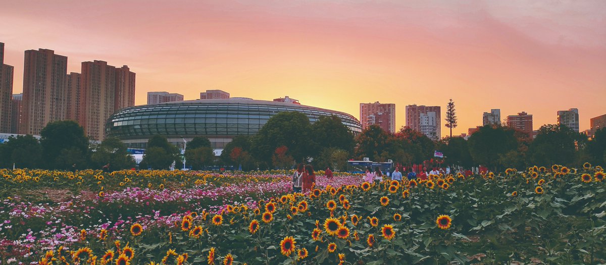 WUT1898's tweet photo. Founded in 1898, Wuhan University of Technology is renowned for its strength in building materials, construction, transportation, and automotive studies. #WUT https://t.co/vn9sHCFoLn