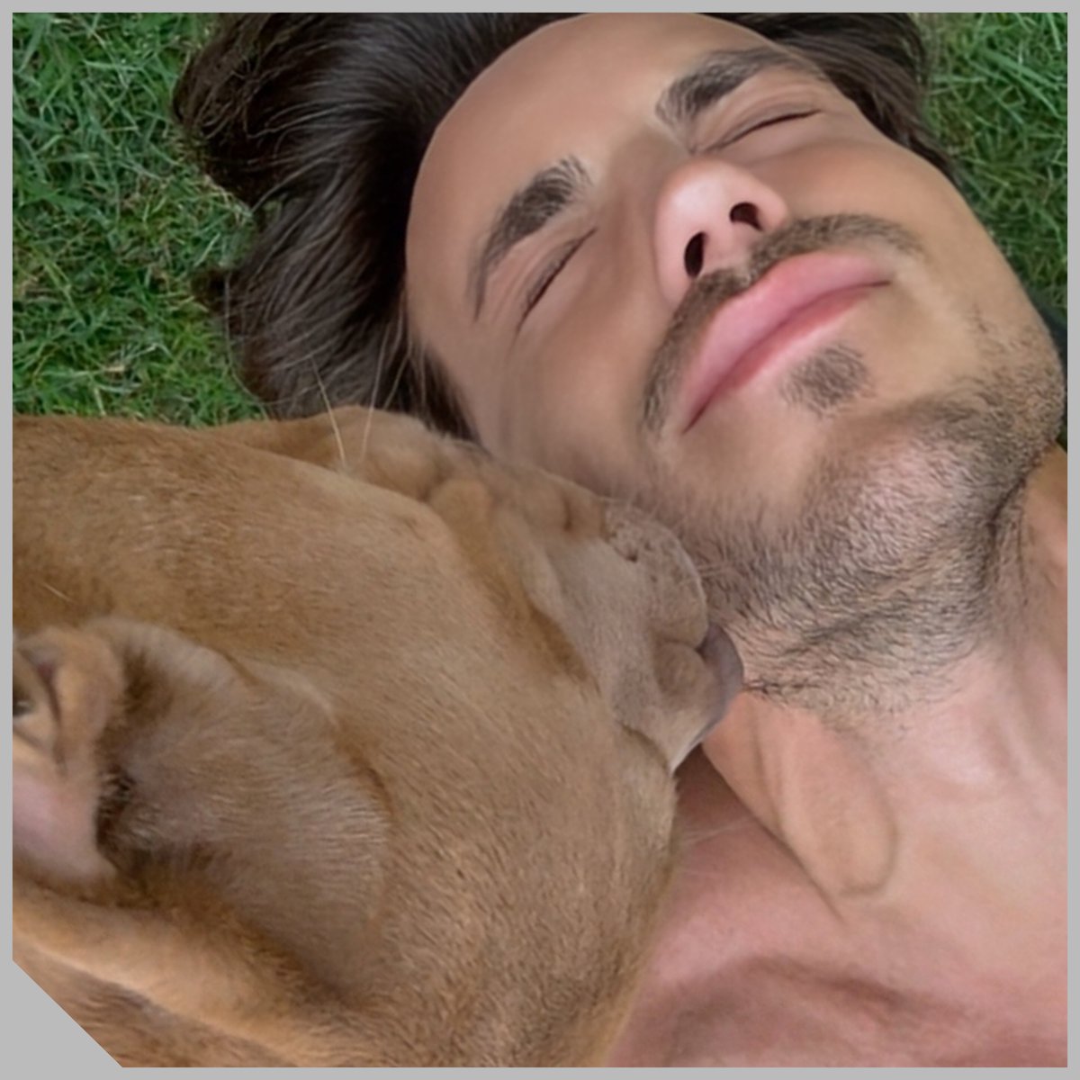sabri25139's tweet photo. Buongiorno familyddm.
Buon inizio settimana  a te Daniele ❤️e al principino   Jago 🐾 🏡...che sia un lunedì  positivo... e non il solito di...🫣😁 #ddm https://t.co/ofbBHovBIr