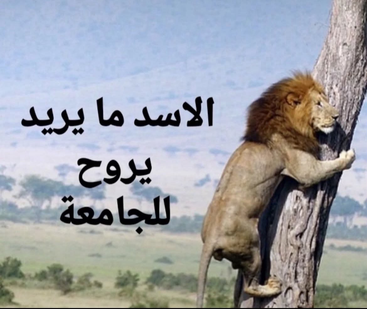 f2lox's tweet photo. اول مره اتمنى تطول المحاظره مو طبيعي 3 سلايدات ب نص ساعه https://t.co/KSrjOt2bjW