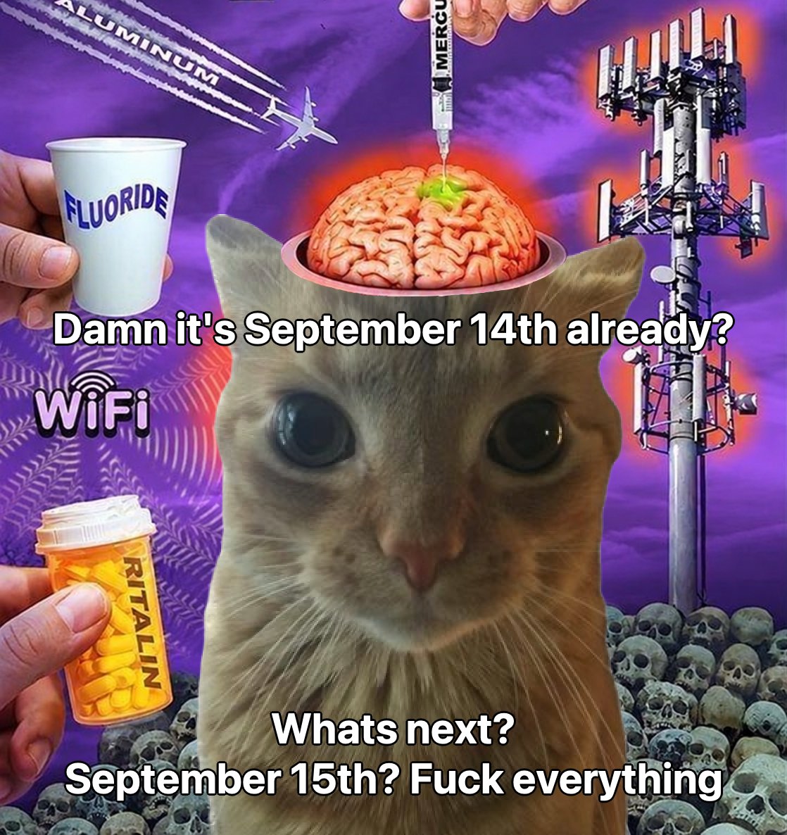 literallymecats's tweet photo. https://t.co/O27DeKkCzE