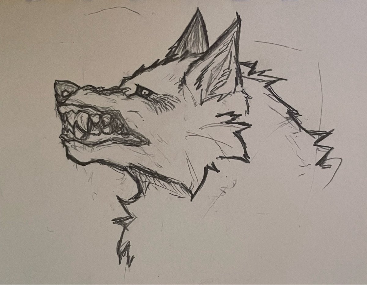 Onku_1129's tweet photo. 🐺 https://t.co/WjoKc6Jxt6