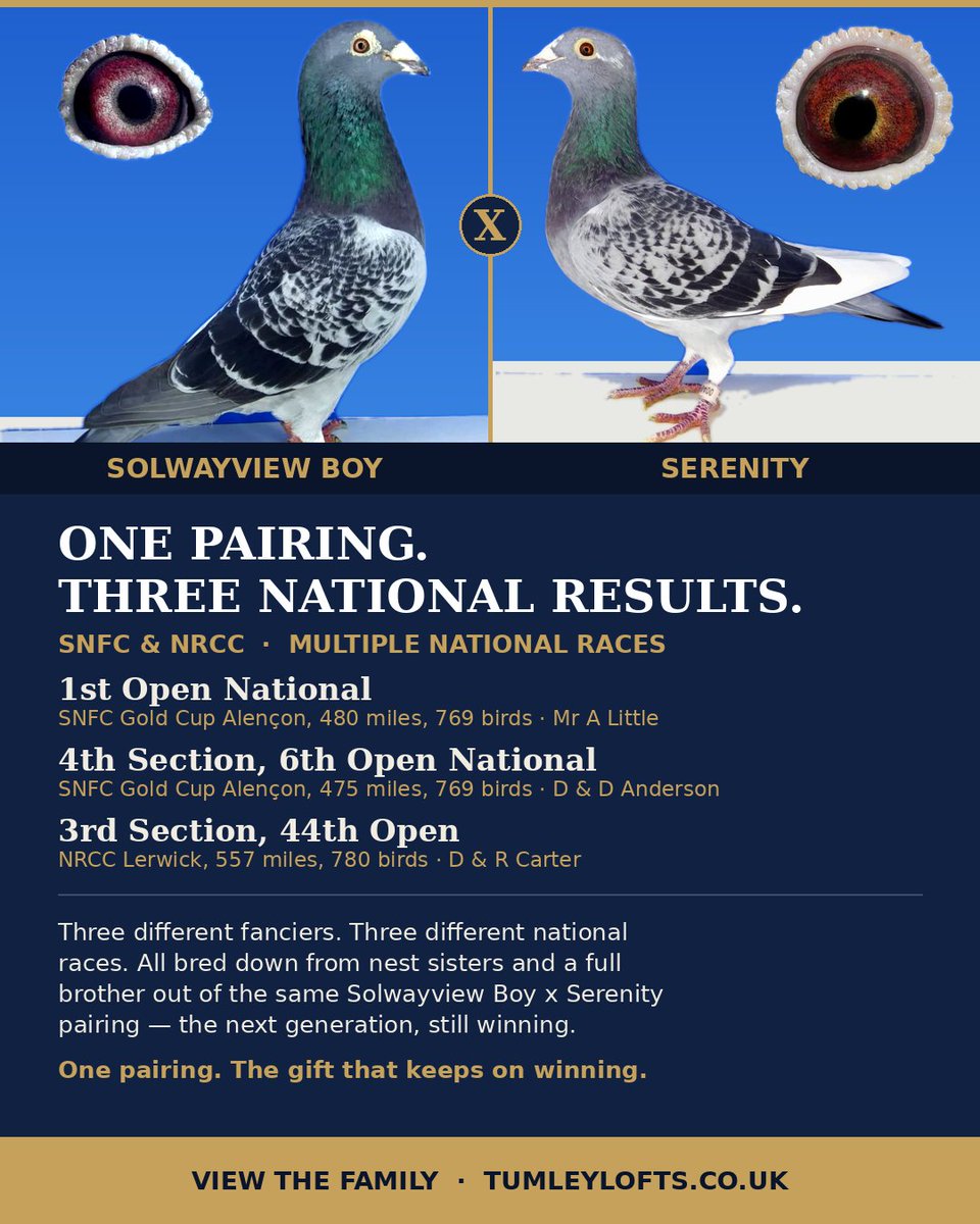 TumleyLofts's tweet photo. This pairing had a very successful 2026 results season. These are only their top 3 results from this year and are on top of the results already accumulated previously and with other partners!.
https://t.co/TzrYMllOqn https://t.co/KzAJY3mmE1