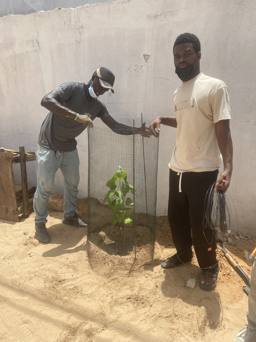 CheikhAbdouAmar's tweet photo. 🌱 Planter un arbre, c’est semer l’avenir ! 🌳
En tant que Boudjouman, un grand Jërejëf à @TontonVert et à tous les Boudjouman pour les arbres offerts et leur soutien à notre journée de reboisement à Bayakh 🌱.
#QuartierVertChallenge #Boudjouman #TontonVert https://t.co/VNSo9gPz6n