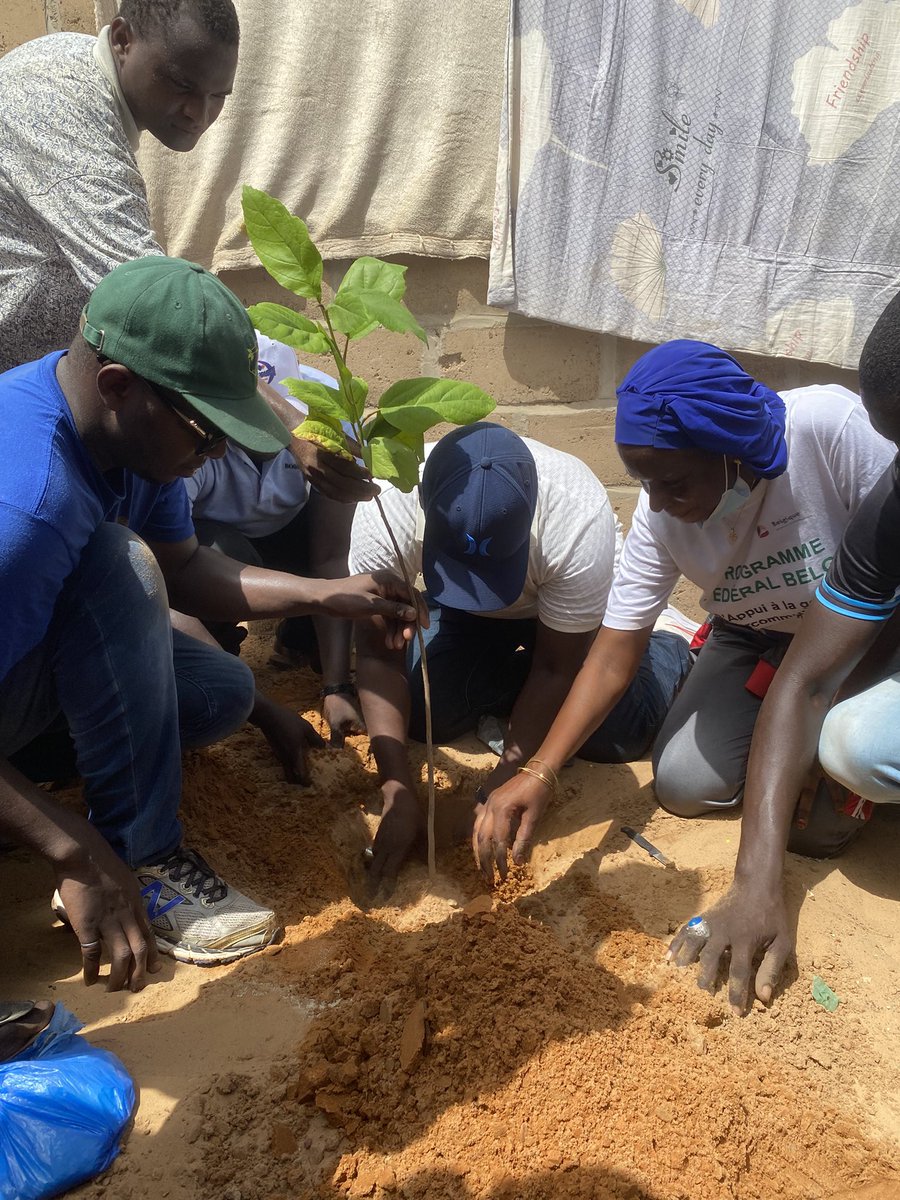 CheikhAbdouAmar's tweet photo. 🌱 Planter un arbre, c’est semer l’avenir ! 🌳
En tant que Boudjouman, un grand Jërejëf à @TontonVert et à tous les Boudjouman pour les arbres offerts et leur soutien à notre journée de reboisement à Bayakh 🌱.
#QuartierVertChallenge #Boudjouman #TontonVert https://t.co/VNSo9gPz6n