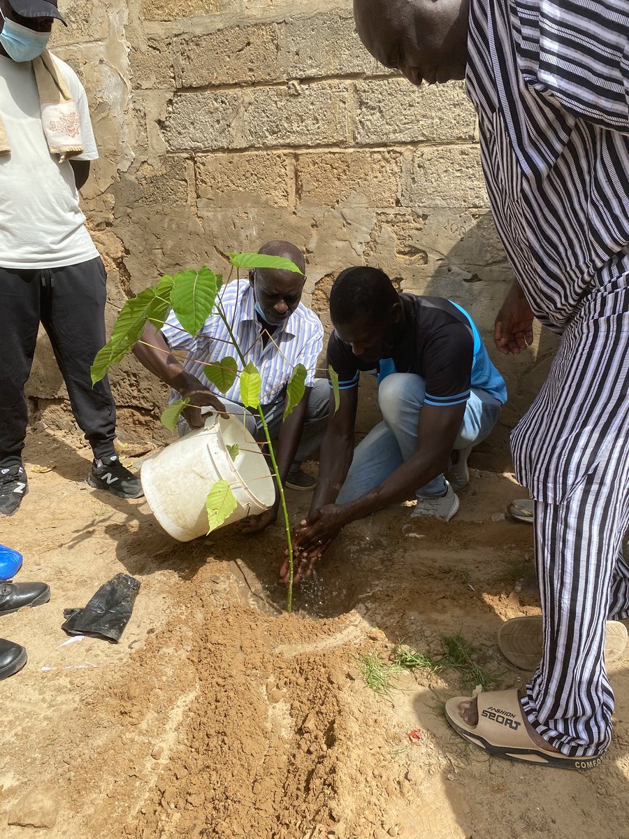 CheikhAbdouAmar's tweet photo. 🌱 Planter un arbre, c’est semer l’avenir ! 🌳
En tant que Boudjouman, un grand Jërejëf à @TontonVert et à tous les Boudjouman pour les arbres offerts et leur soutien à notre journée de reboisement à Bayakh 🌱.
#QuartierVertChallenge #Boudjouman #TontonVert https://t.co/VNSo9gPz6n