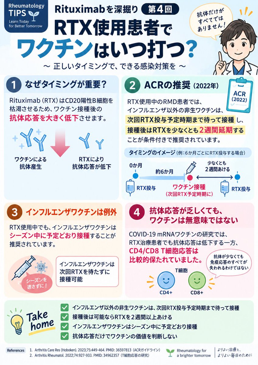KamedaRheukdop's tweet photo. 【Rituximabを深掘り】第4回
RTX使用患者でワクチンはいつ打つ？

RTXはワクチンの抗体応答を大きく低下させます。

ACRのガイドラインでは一般的な非生ワクチンは、
・次回RTX投与予定時期まで待って接種
・接種後、RTXを少なくとも2週間延期

一方、インフルエンザは例外的にRTX使用中でも、シーズン中に予定どおり接種します。

重要なのはRTX使用中で���体応答が乏しくても、「免疫応答がゼロではないこと。

COVID-19 mRNAワクチンの研究ではRTXで抗体応答は低下する一方、CD4/CD8 T細胞応答は比較的保たれ重症化を減らす可能性が示唆されています。

Take home
・非生ワクチンはRTX次回投与直前に接種
・接種後は可能ならRTXを2週間以上あける
・インフルエンザはシーズンを逃さない
・抗体応答が乏しくてもワクチンは無駄ではない

References
Arthritis Care Res. 2023;75:449-464. PMID: 36597813
Arthritis Rheumatol. 2022;74:927-933. PMID: 34962357