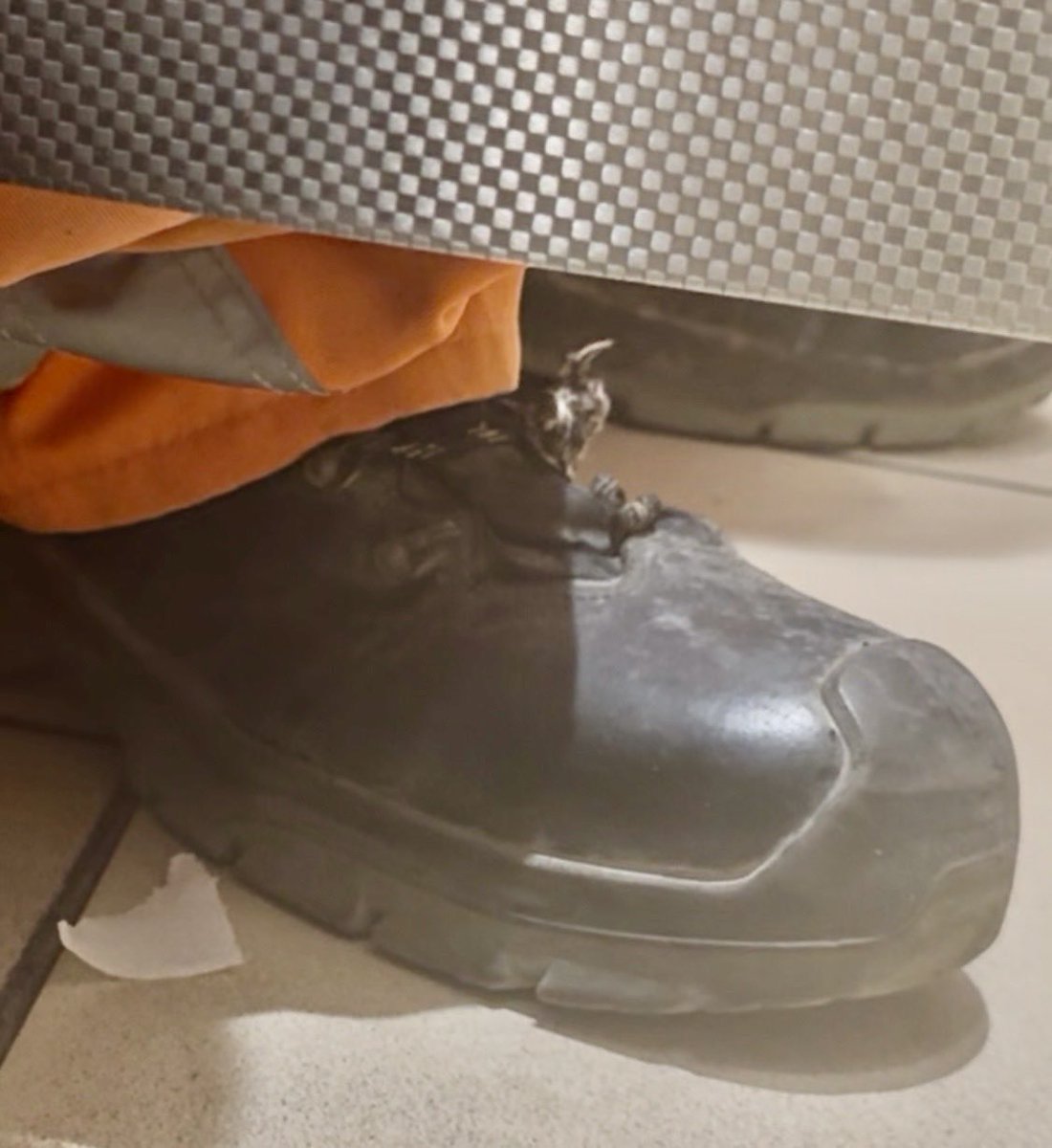 ScaffHunter's tweet photo. 🥾👀 #understall #spy #cottaging #cruising #roadworker #HGV #HGVdriver #trucker #HiVis #HiViz #boot #safetyboot #bootworship #bootfetish #bootpig 🐽 https://t.co/3PtacBaGZM