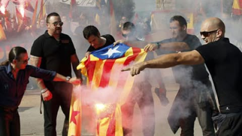 pepeluspain's tweet photo. HAGAMOS VIRAL ESTA IMAGEN. QUEMANDO LA BANDERA INDEPENDENTISTA CATALANA. YO PONGO MI GRANITO DE ARENA. https://t.co/eqqr0SSZlK