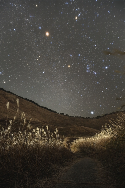 kyoto_triptime's tweet photo. 2026年秋の主な流星群：10月りゅう座流星群（ジャコビニ流星群）おすすめの時間帯: 10月8日日没後〜9日未明。夜の曽爾高原で見てみたい😀
＃曽爾高原　＃流星群　＃秋　＃奈良旅　#旅行碎片 https://t.co/FiI3HLi8PD