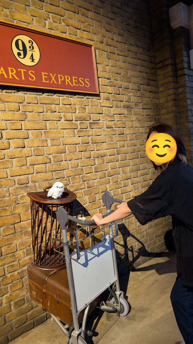 chip_chr's tweet photo. ヘドウィグと一緒に9 3/4からホグワーツエクスプレスに乗って、ダイアゴン横丁でグリンゴッツ魔法銀行見たり、ホグワーツ魔法学校を見学し、魔法省も見てきた！
というわけで、ハリー・ポッタースタジオツアーに行ってきました♪ https://t.co/mARlK41mpG