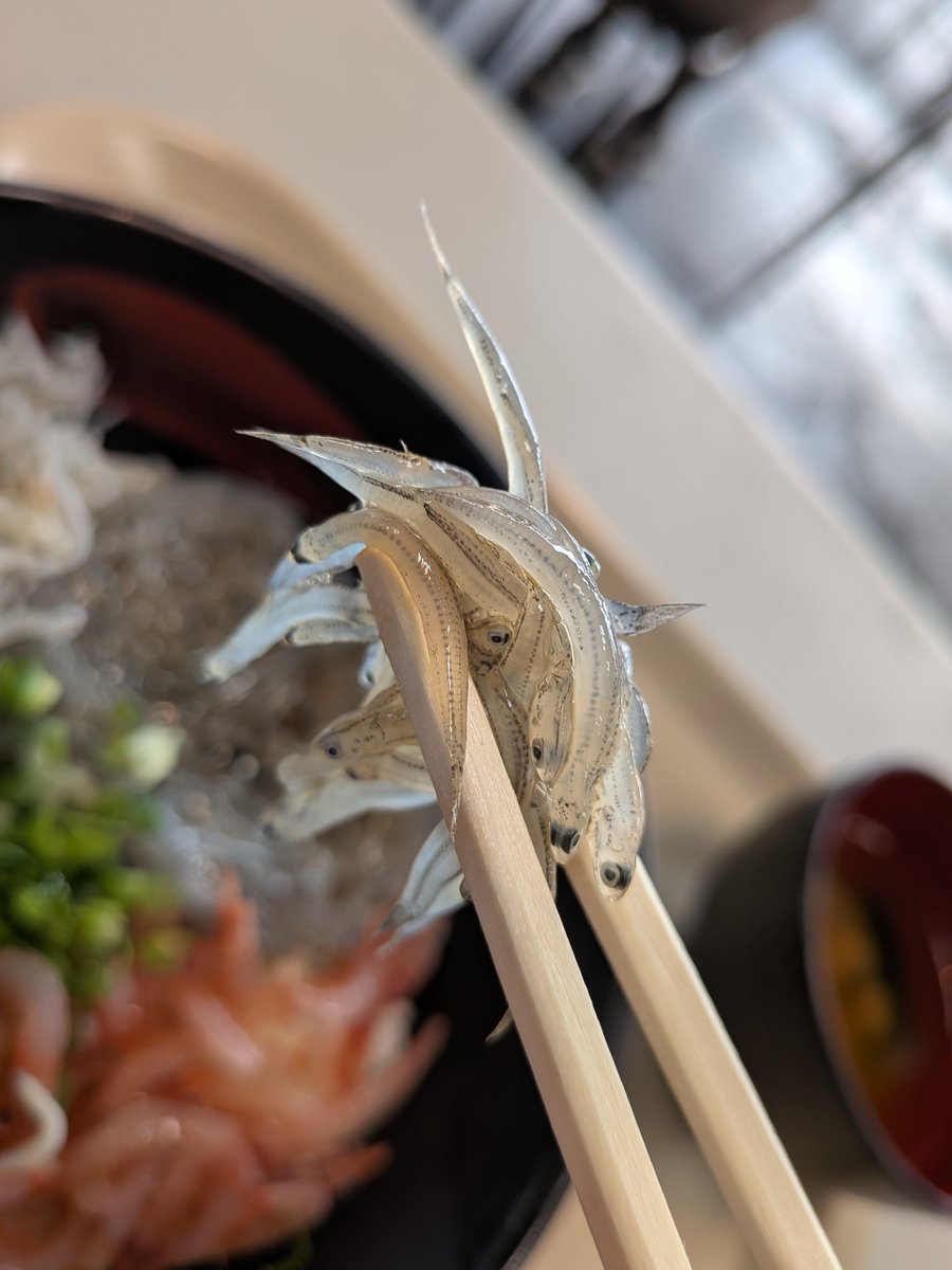 mrpeantus's tweet photo. 田子の浦漁協♬お昼飯食べましたか〜😌💕🐟️ https://t.co/iXMeaL8n91