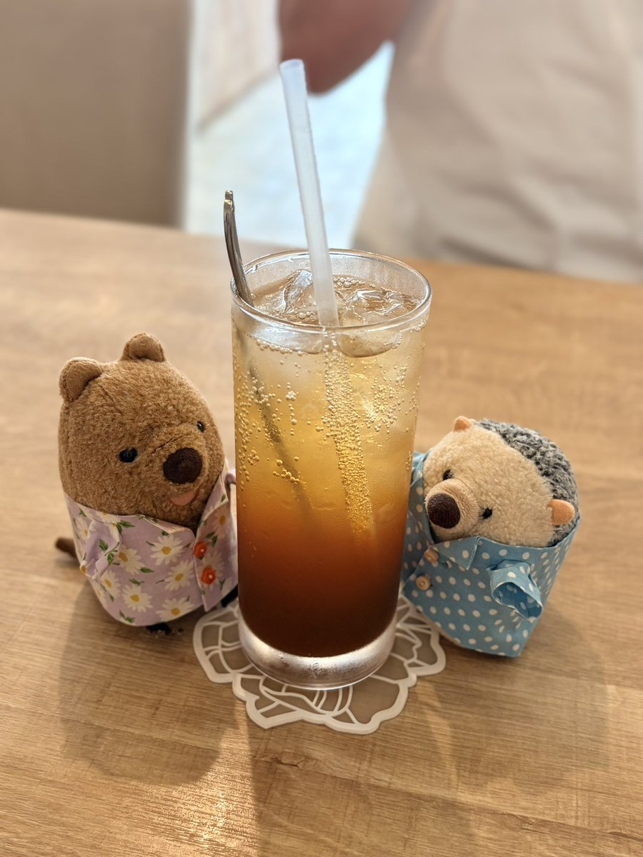 wonchan_donguri's tweet photo. てぃーそーだ🫖☘️
しゅわしゅわフルーティーなお味♡ https://t.co/v5m9x2Rzw7