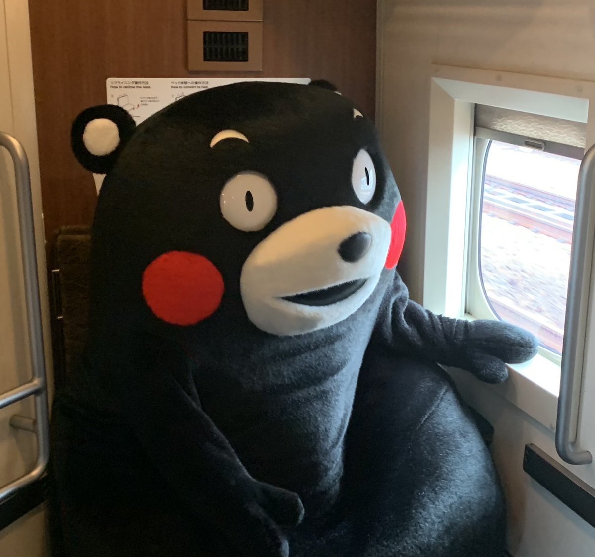 55_kumamon's tweet photo. みんな、熊本に来る準備はできているかモン？一度来たら熊本のトリコになることまちがいなし！だモン☆みんな、かモン〜モンモモンくまもと〜だモン♪ https://t.co/IHs1lMKp5x