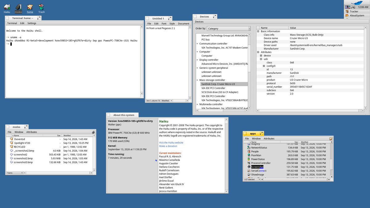 warpdesign_'s tweet photo. After way too many endianness fixes, USB finally works. So, naturally, I had to grab a proper screenshot :)
Haiku on a Pegasos 2, now rocking blazing-fast USB 1.1 speeds :)
#HaikuOS #PowerPC https://t.co/qEPPfv3ZgT