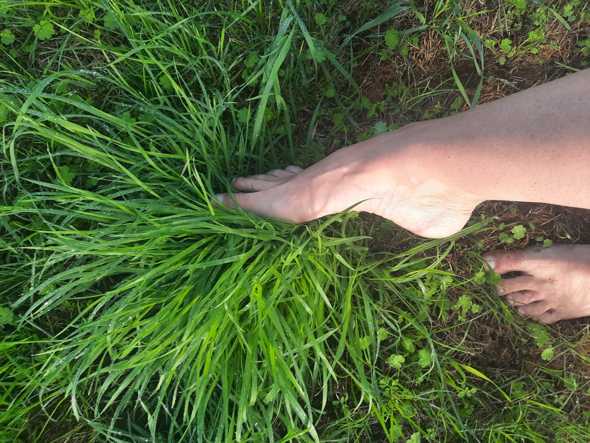 Rockstarrpinky's tweet photo. Oh I love being outside barefoot on the grass! The cool dew between my toes! 
Have a wonderful week beautiful 😍 🖤👣 https://t.co/FZqgDDiwh1