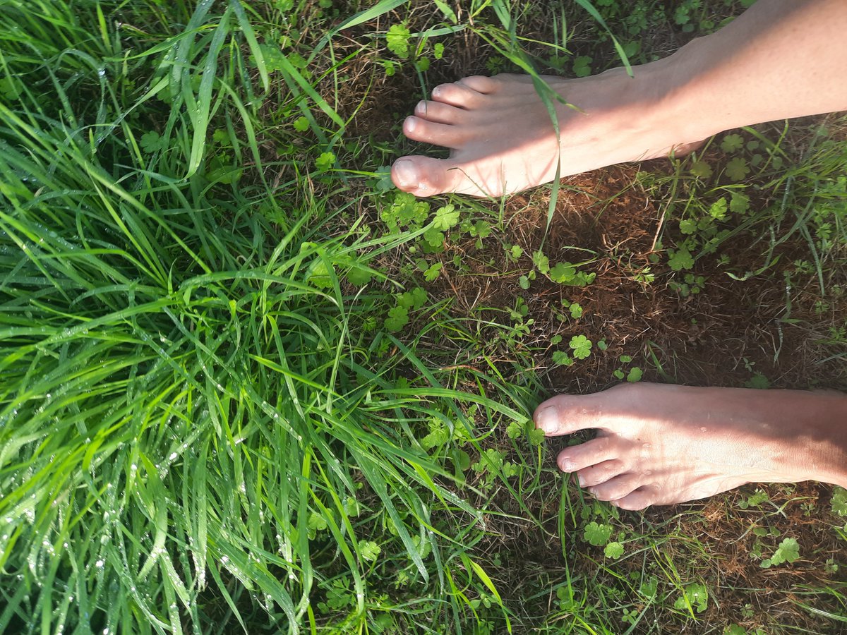 Rockstarrpinky's tweet photo. Oh I love being outside barefoot on the grass! The cool dew between my toes! 
Have a wonderful week beautiful 😍 🖤👣 https://t.co/FZqgDDiwh1