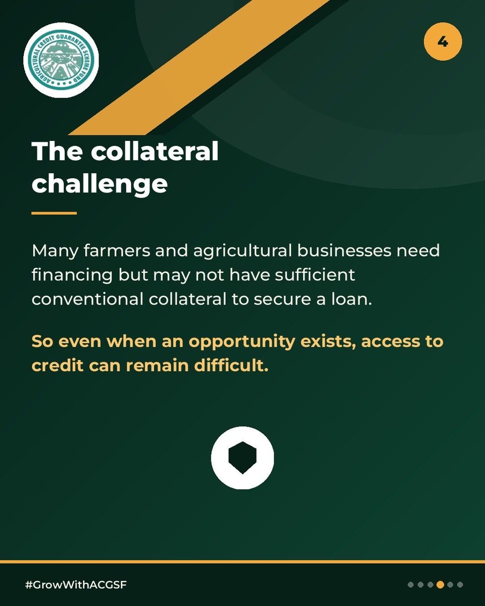 ACGSFNG's tweet photo. For lenders, agriculture comes with its own set of uncertainties, weather, pests, market conditions, production cycles and more.

So how do we make agricultural credit more accessible while managing these risks?
This is where the conversation gets interesting.

#GrowWithACGSF https://t.co/yMI4SoKnfi