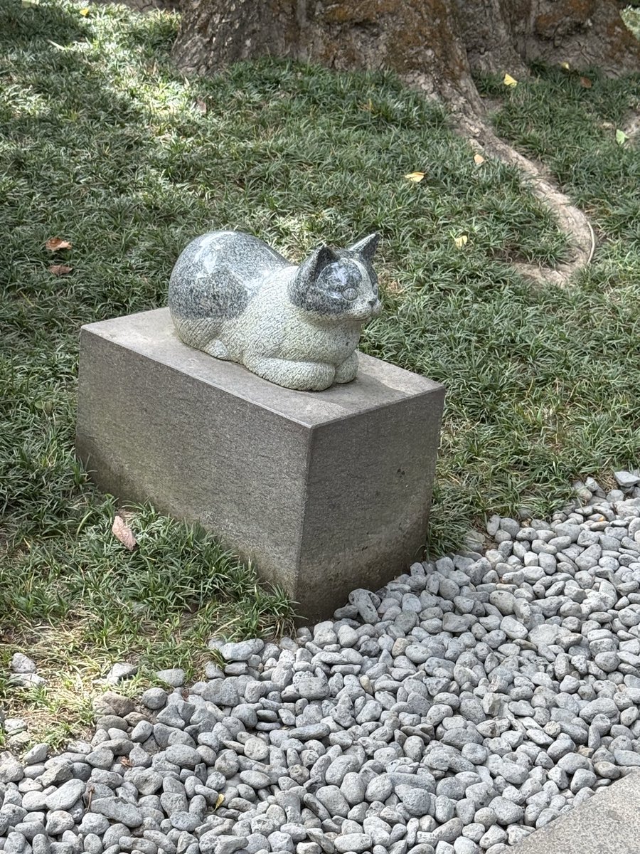 mariet_b14's tweet photo. 桜島と猫神社🐱
あとりょっぴーの聖地巡礼してきた！
けど、思ったほど残り時間がなくてみかんジュースがぶ飲みするはめになった笑 https://t.co/9WWnoUvf8B