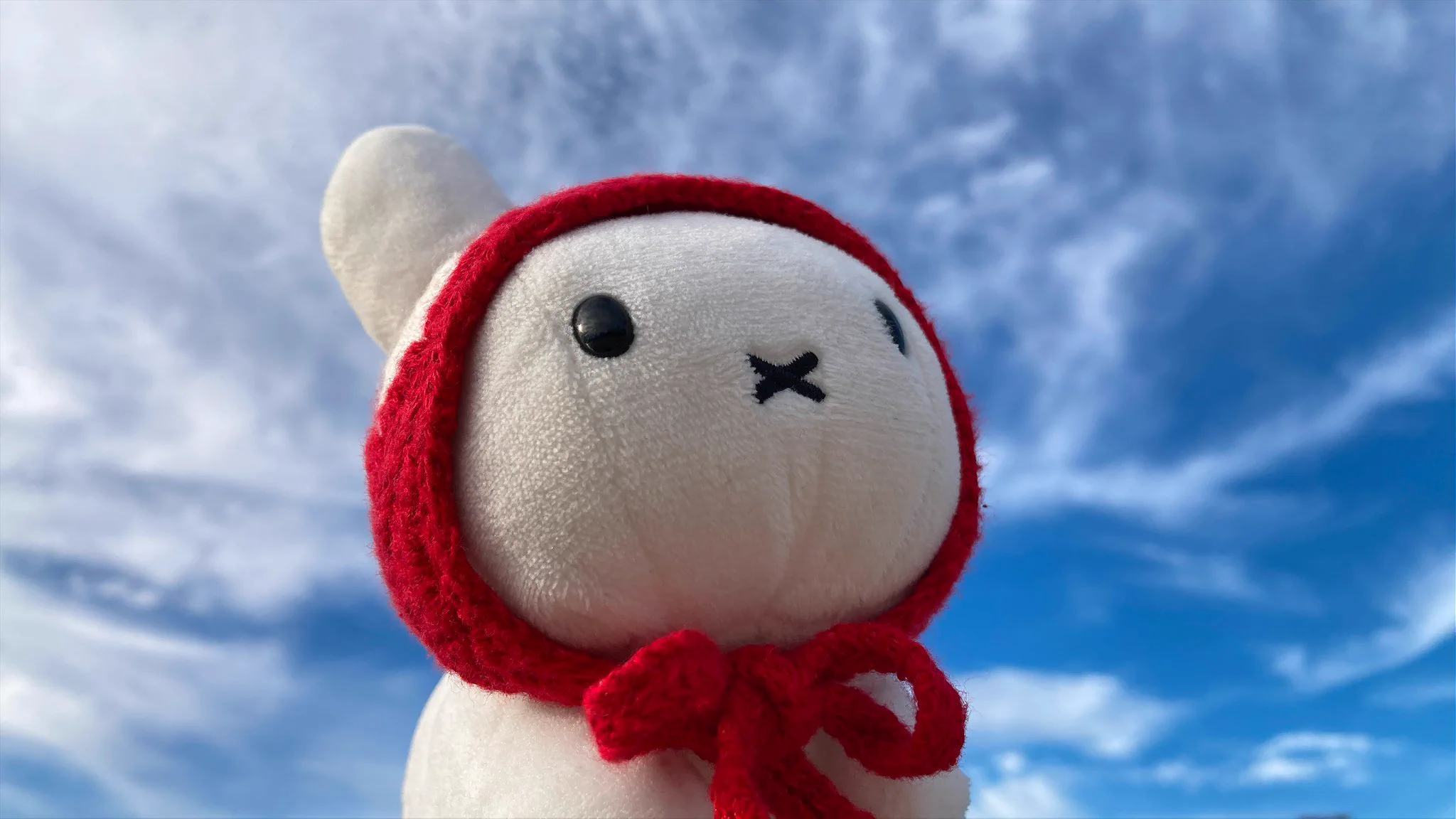 みっふぃさんのおうち on X: 