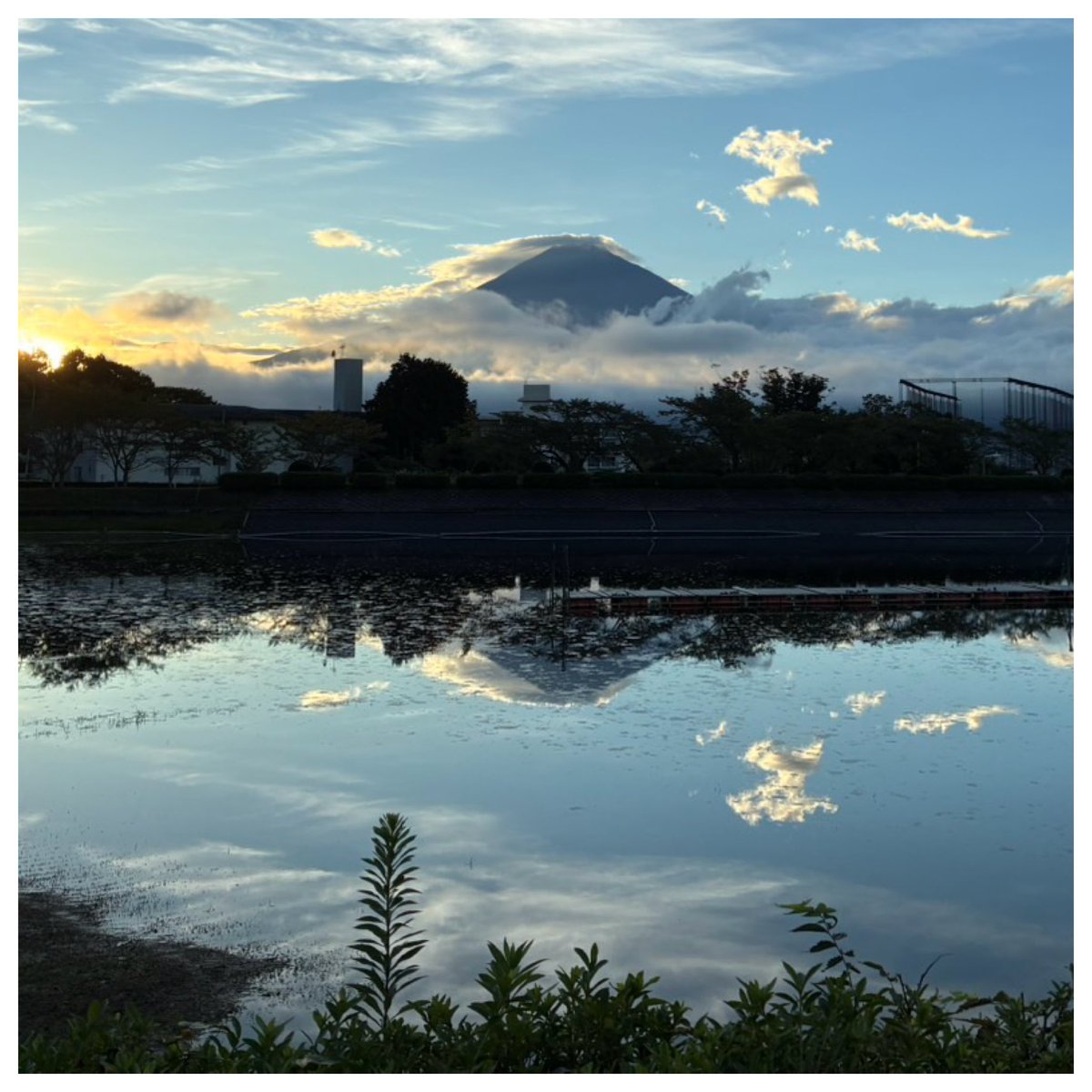 Kanepon1976's tweet photo. 《Daily life - 2026.09.14》
静岡県御殿場市

昨日。 https://t.co/b7ttzsc7Nb