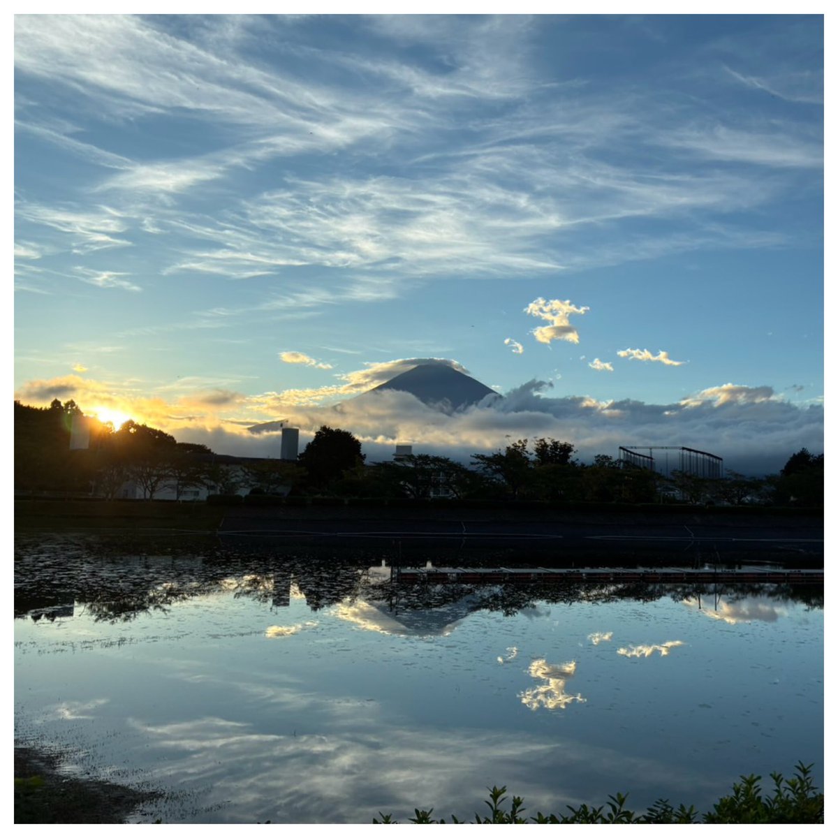 Kanepon1976's tweet photo. 《Daily life - 2026.09.14》
静岡県御殿場市

昨日。 https://t.co/b7ttzsc7Nb