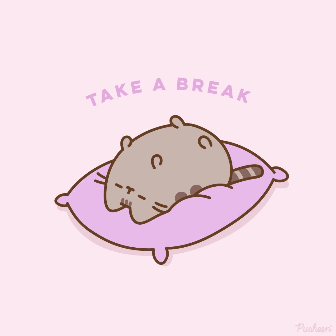 pusheencatfans's tweet photo. gentle reminder https://t.co/T1J5E9FO6T
