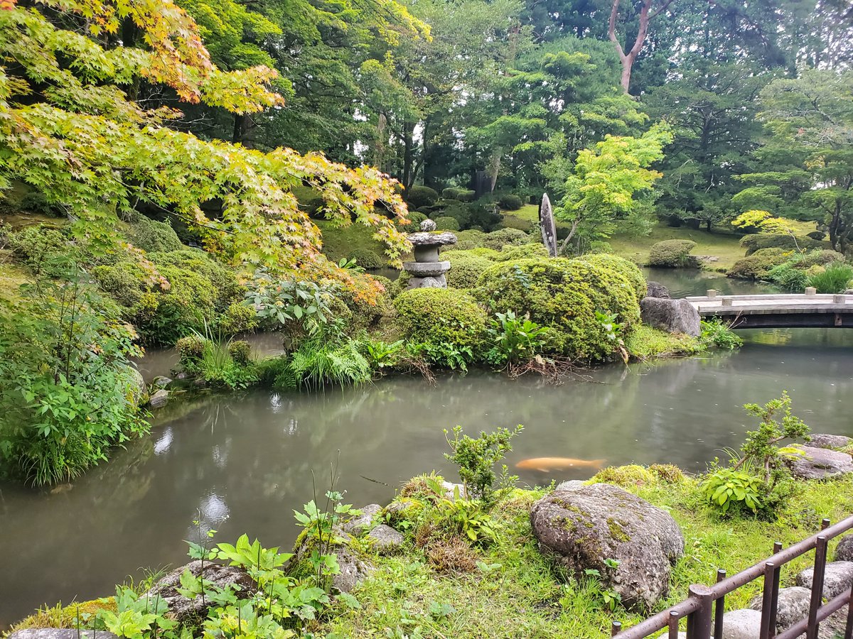 mokouskitchen's tweet photo. 俺が出かけると絶対雨が降る https://t.co/xtkL48WrEy