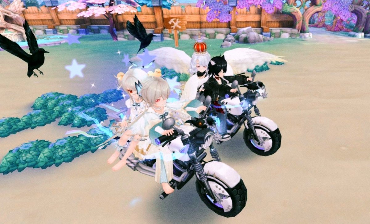 statatatar_P's tweet photo. 🐦‍⬛🏍²ᡣ𐭩 https://t.co/kCc7vytXEx