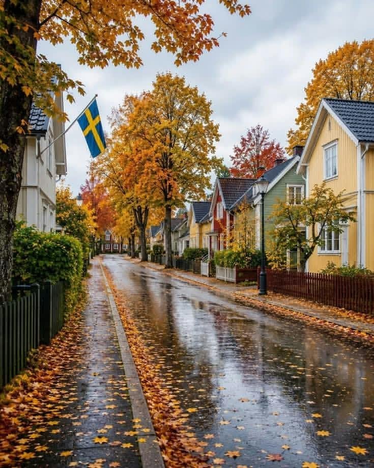 NaturalEye78321's tweet photo. Autumn in Sweden 🇸🇪 https://t.co/XkkkqaPnh0