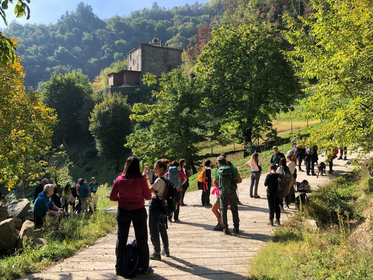 turismoER's tweet photo. 🌍🚶 Un mese per scoprire Bologna e il suo territorio con occhi diversi.
Dal 18/9 al 18/10 torna @festivalitaca: passeggiate, escursioni in bici, incontri e tante esperienze tra città e Appennino

Scopri il programma 👉 https://t.co/pC5RWchavS
#inEmiliaRomagna #festivalitaca2026 https://t.co/46hLdgSBc4