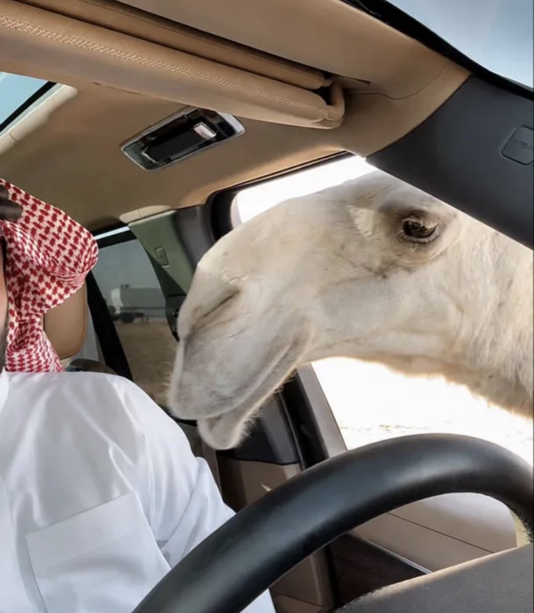 bin_dlaim's tweet photo. "مـثـل الـجبـال الـسـمـر صـبـري ثـبـاتـي" https://t.co/pp5MmbFgmX