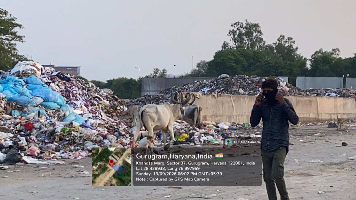 cleanAirBharat's tweet photo. CPCB complaint raised. MCG said it was “addressed.”

But please look at Khandsa today.

An established Secondary Collection Point has become a mini-landfill in the heart of the community ~20 m high and spread over 300–400 m, with fresh + rotting mixed waste.

50 m from a Govt school. ~100 m from Khandsa Mandi.

Waste from 3 zones is reportedly coming here, while there is a shortage of vehicles to move it out.

Cows feeding on garbage. Dogs scavenging. Vultures circling overhead. No visible vector-control mechanism.

And winter is approaching.

Khandsa has already seen a major waste fire in June, requiring 250+ fire tenders. What happens when this enormous mixed-waste mountain dries out?

An SCP cannot become a landfill simply because the system cannot move the waste fast enough.

People pay for waste collection. After collection, where does it go?

Where is the segregation? Where is the wet-waste processing? Where is dry-waste recovery?

@MunCorpGurugram @cpcb_official @HSPCBOfficial @CAQM_Official
@csharyana @cmohry @RaoNarbir @VipulGoelBJP @moefcc @MoHUA_India @ArtiSinghRao @PrinSciAdvGoI 

@ulbharyana please :

Prioritize Public Health
Follow Govt. SWM Rules.
Gurugram deserves better.

#Khandsa #Gurugram #WasteManagement #PublicHealth #SWMRules #FireSafety #Haryana