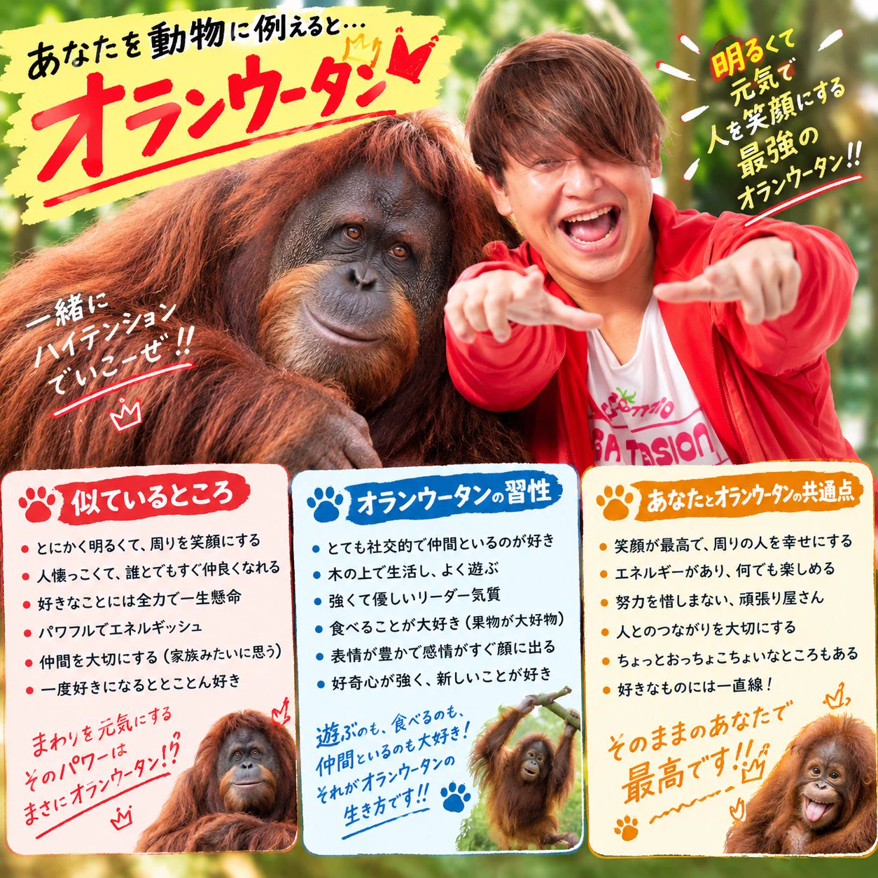 オランウータン 梶トマト on X: 