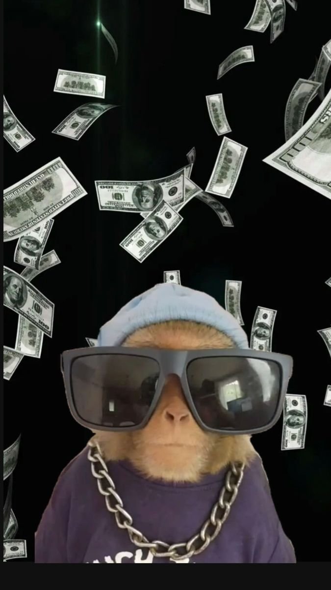 ATeljoar999's tweet photo. The vibe is different when you hold $MDM. 😎💸 
Don't just watch from the sidelines when the chart turns bright green. Hop on board now before FOMO kicks in. Token link: [https://t.co/wXJztpFygd]
​#MDM #Memecoin #Next100x #DeFi https://t.co/C7Ltidzz5P