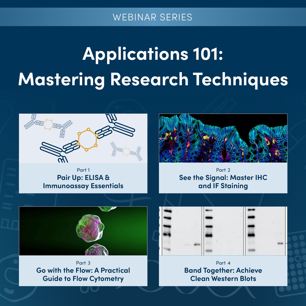 CellSignal's tweet photo. New Webinar Series: Master core lab techniques with CST experts 

● Oct 1 – ELISA 
● Oct 29 – IHC/IF 
● Dec 3 – Flow Cytometry 
● Jan 21 – Western Blotting 

Register today: https://t.co/ivKdij7s2c https://t.co/h19Xsli93h