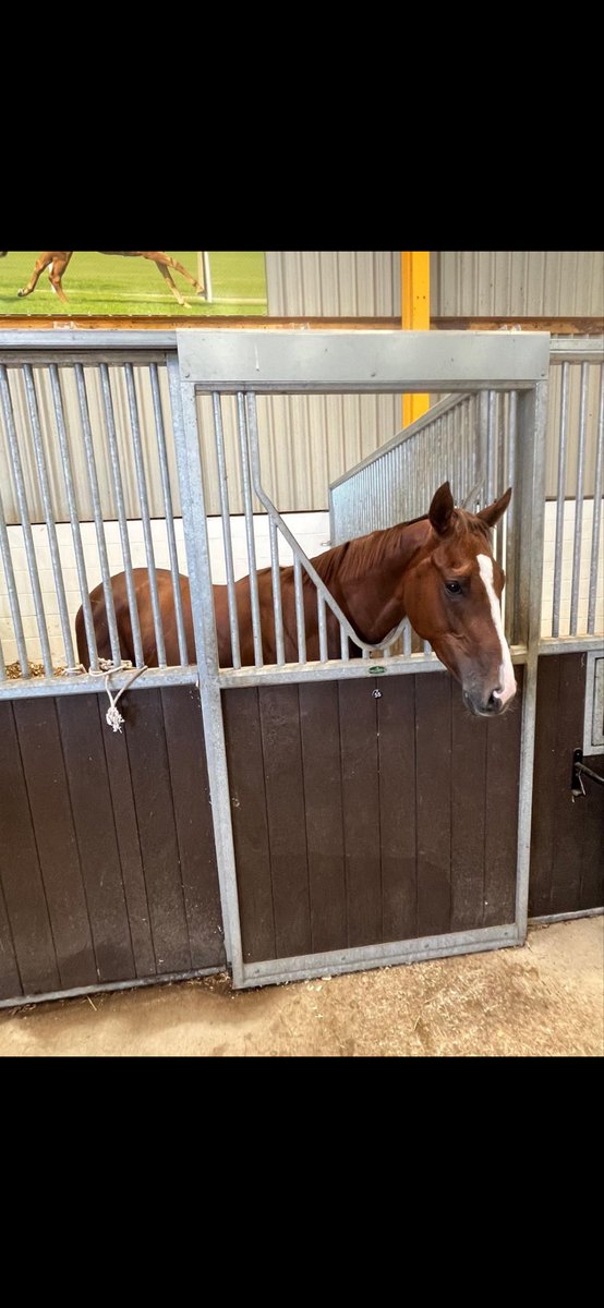 davidrbourne's tweet photo. @RebeccaEMenzies Thank you for a fantastic day at Howe Hills Farm yesterday! #racing #howehills #adonius https://t.co/XYMOZwI16g