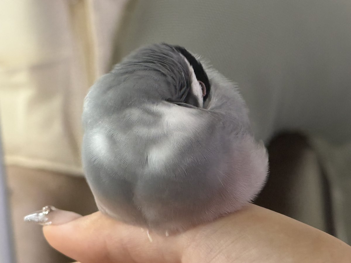 Pekoyvtk's tweet photo. https://t.co/AKienheqYH