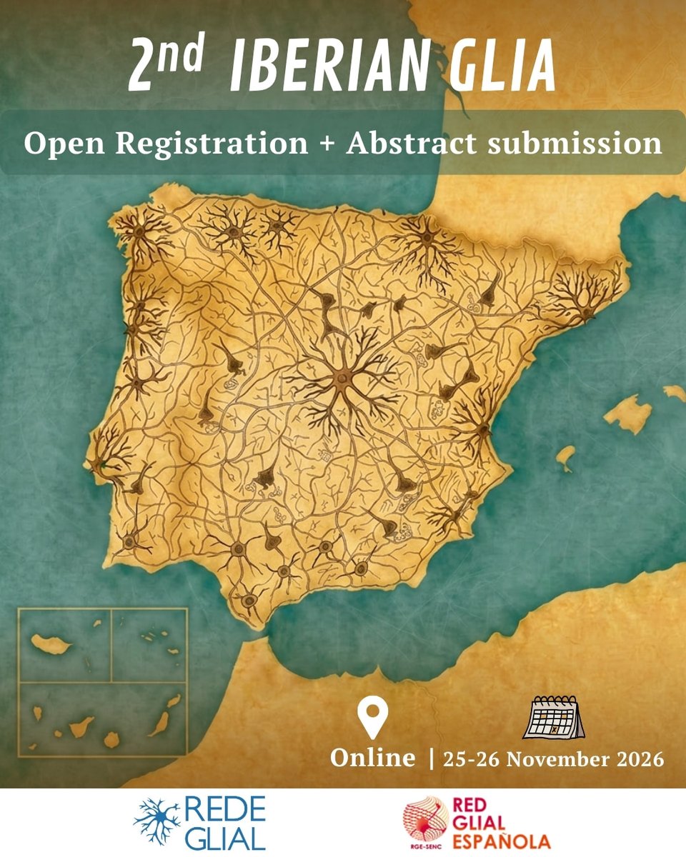 SENC_'s tweet photo. 🧠 Abiertas las inscripciones y el envío de abstracts para el 2nd Iberian Glia Meeting.

Organizado por @GlialRede y @redglial, se celebrará online los días 25 y 26 de noviembre 🇵🇹 🤝🇪🇸

🕐 Plazo para el envío de abstracts: 25 de septiembre

🔗 https://t.co/EwlNh4sp0L https://t.co/d7OQu4AhQ9