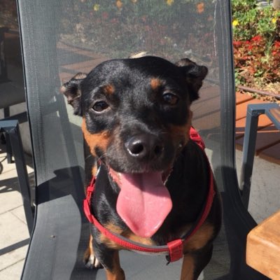 sdsudedinc's tweet photo. #YeniProfilResmi yeni pp Belloşum https://t.co/BuonSj3MGv