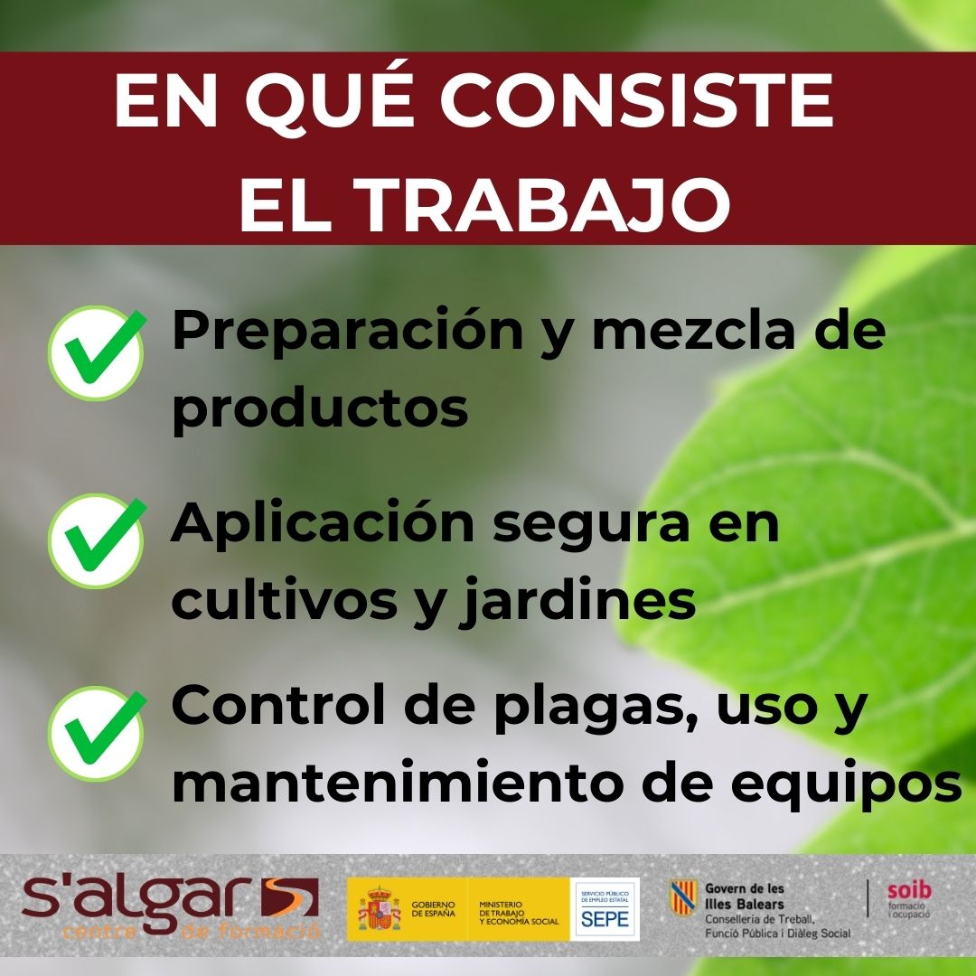 salgarformacio's tweet photo. ¿Trabajas en jardines, huertos o viveros?
¡Tienes que hacer este curso! Obtendrás la certificación oficial
Aprenderás a usar productos fitosanitarios con seguridad, a controlar plagas y a proteger el entorno. 
Inca
28 de septiembre
https://t.co/2KARNTWC6S
971 82 58 94 https://t.co/B56rErBCGx